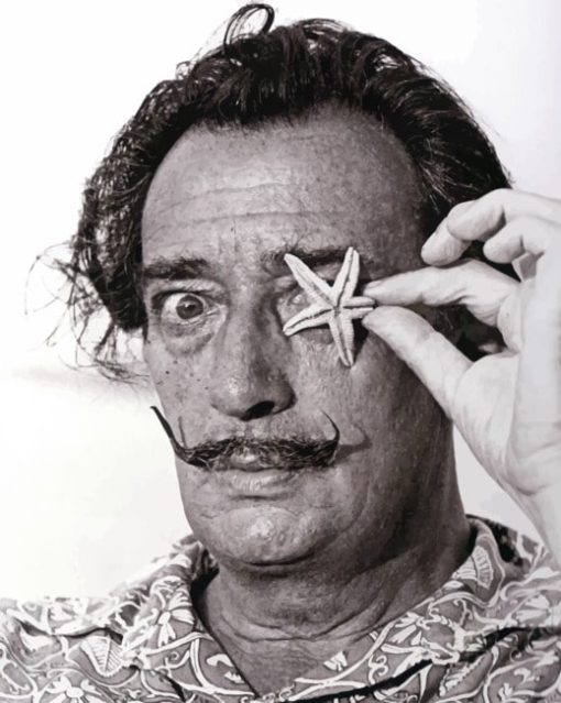 Salvador Dali paint By numbers