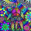 Trippy Cool Peace paint By Numbers