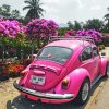 Volkswagen Beetle paint By Numbers