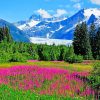 Alaska Landscape paint by numbers