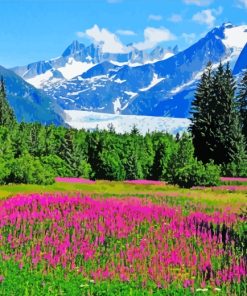 Alaska Landscape paint by numbers