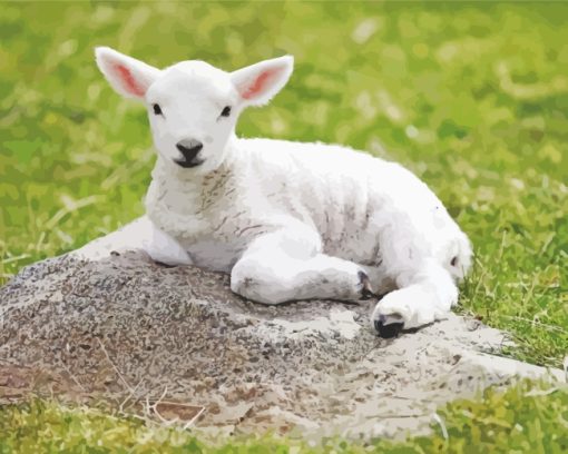 Aesthetic Baby Lamb paint by numbers