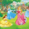 Belle And Princesses paint by numbers