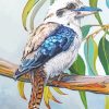 Aesthetic Kookaburra Bird paint by numbers