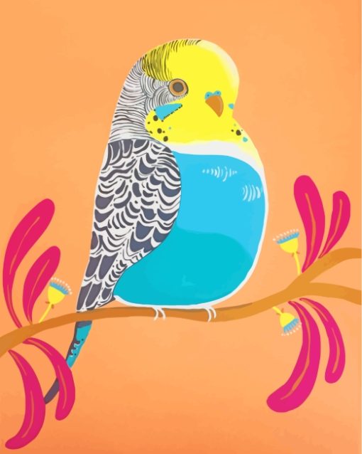 Budgie Bird Art paint by numbers