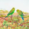 Budgie Birds On Tree paint by numbers