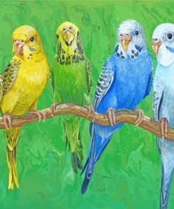 Budgie Birds On Stick paint by numbers