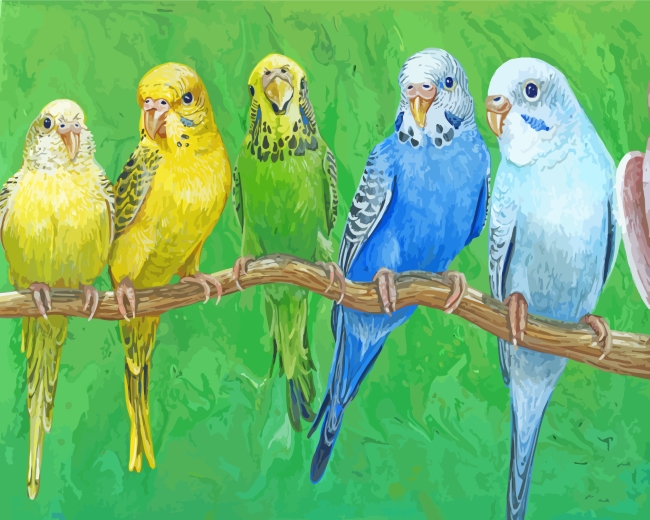 Budgie Birds On Stick paint by numbers