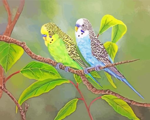 Aesthetic Budgie Birds paint by numbers