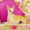 Chihuahua Dog paint by numbers
