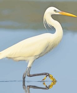 Chinese Egret Bird paint by numbers