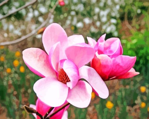 Chinese Magnolia Flowers paint by numbers