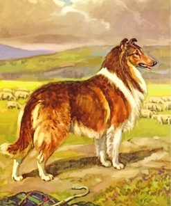 Collie Dog With Sheep paint by numbers