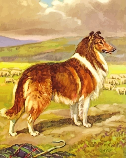 Collie Dog With Sheep paint by numbers