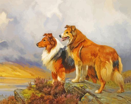 Aesthetic Collie Dogs paint by numbers