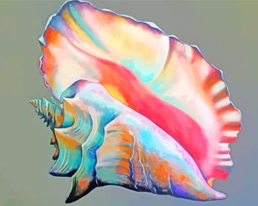 Colorful Conch Shell paint by numbers