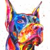 Colorful Doberman Head paint by numbers