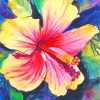 Colorful Hibiscus Flower paint by numbers