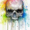 Colorful Skull Art paint by numbers