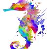 Splatter Colorful Seahorse paint by numbers