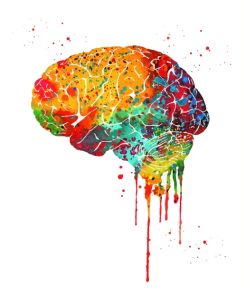 Colorful Human Brain Art paint by numbers