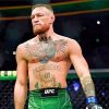 Conor Mcgregor Boxer paint by numbers