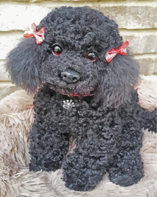 Aesthetic Black Poodle paint by numbers