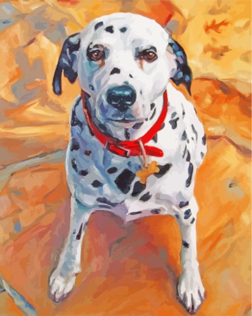 Dalmatian In Pool paint by numbers