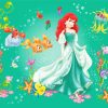 Princess Ariel Mermaid paint by numbers
