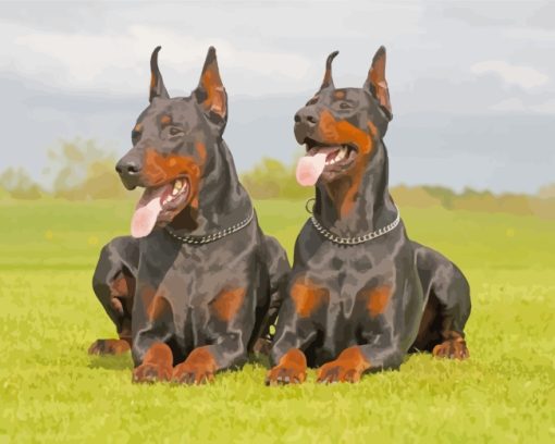 Doberman Dogs paint by numbers