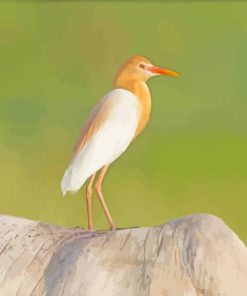 Aesthetic Egret Bird paint by numbers