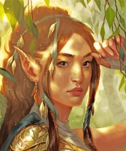 Fantasy Elf paint by numbers