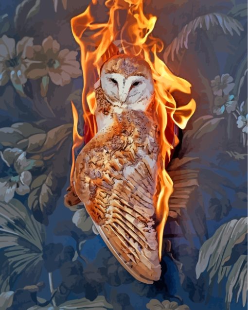 Fire Owl Bird paint by numbers