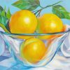 Glass Bowl Lemons paint by numbers