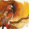 Hawk Bird Art paint by numbers