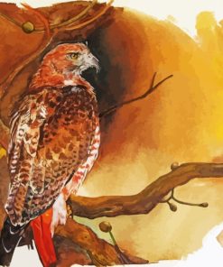 Hawk Bird Art paint by numbers