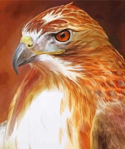 Aesthetic Hawk Bird paint by numbers