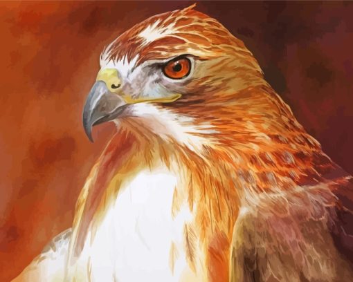Aesthetic Hawk Bird paint by numbers