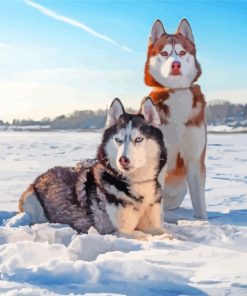 Aesthetic Huskies In Snow paint by numbers