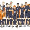 Karasuno Characters paint by numbers