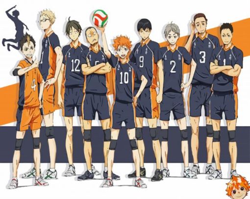Karasuno Characters paint by numbers
