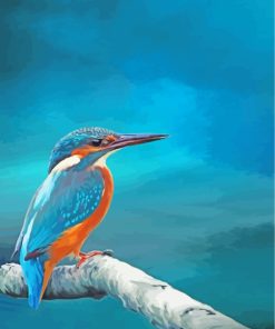 Aesthetic Kingfisher Bird paint by numbers