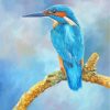 Kingfisher On Branch paint by numbers