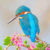 Kingfisher On Flower Branch paint by numbers