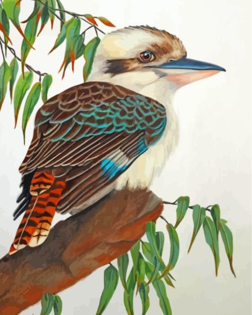Kookaburra Bird On Branch paint by numbers