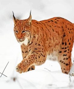 Boreal Lynx In The Snow paint by numbers