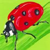 Red Ladybug Art paint by numbers
