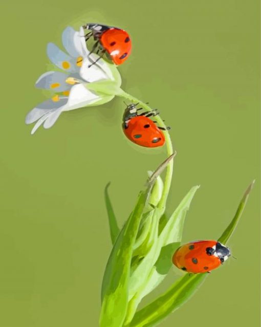 Ladybugs Insects On Plant paint by numbers