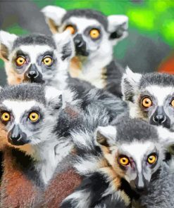 Lemurs Animals paint by numbers