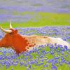 Longhorn In Bluebonnets paint by numbers
